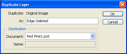 Dublicate Layer Dialog Box